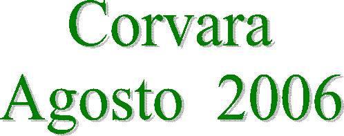 Posa in opera della struttura